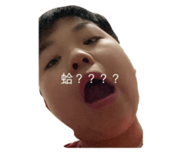 423857590