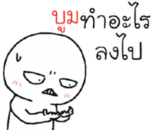42388094