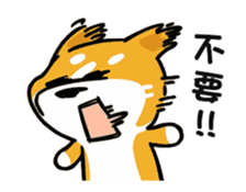 423896866