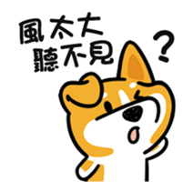 423896869