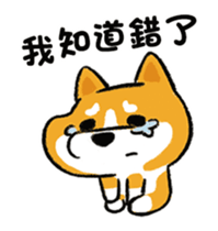 423896876