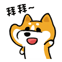 423896885