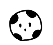 423932844