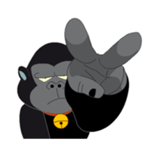 423968881