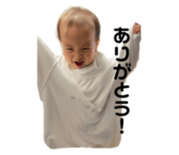423976318