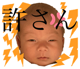 423993389