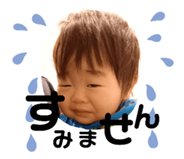 424013345