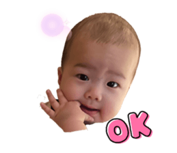 424028466