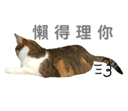 424040521
