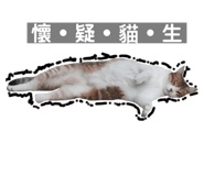 424040525
