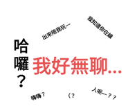 424048019
