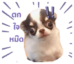 424048879