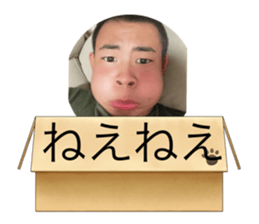 424067601