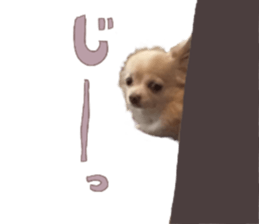 424117075