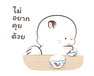 Simao & Bamao ชินชิลลานุ่มนิ่ม 5 รูปที่ 15