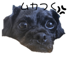 424247997