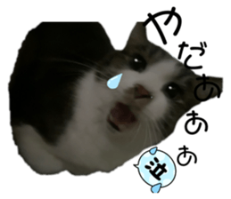 424262124