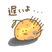 424294