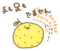 424295