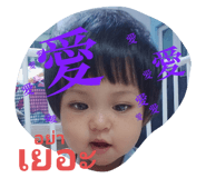 424295990