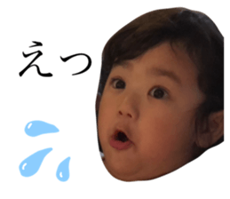 424300560