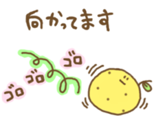 424304
