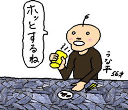 4243116