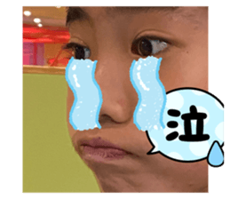 424313017