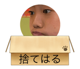 424313019
