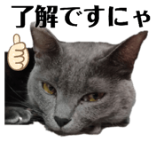 424368969