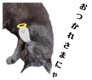 424368970