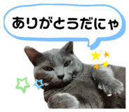 424368973