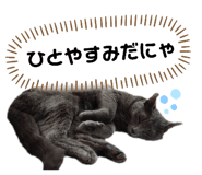 424368975