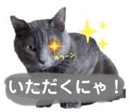424368976