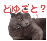 424368978