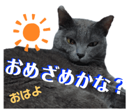 424368981