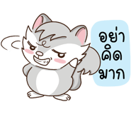424369387