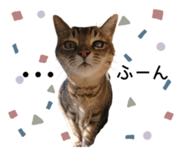 424371449