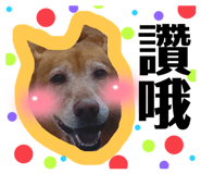 424418209
