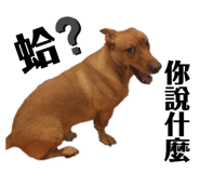 424418210
