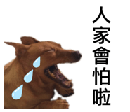 424418212