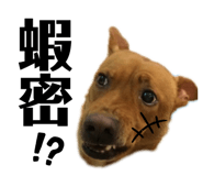 424418213