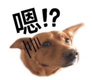 424418214