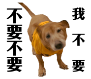424418223
