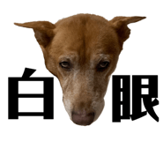 424418229