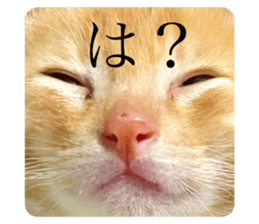 424435367