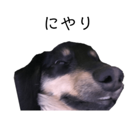 424436272