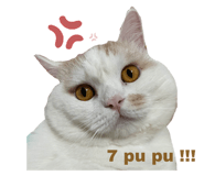424439431
