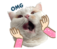 424439433