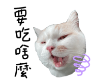 424439439